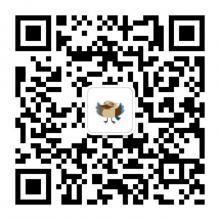 WeChat QR Thumbnail
