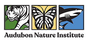 audubonnatureinstitute.org